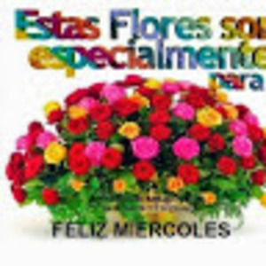 Meet your Posher, Marta